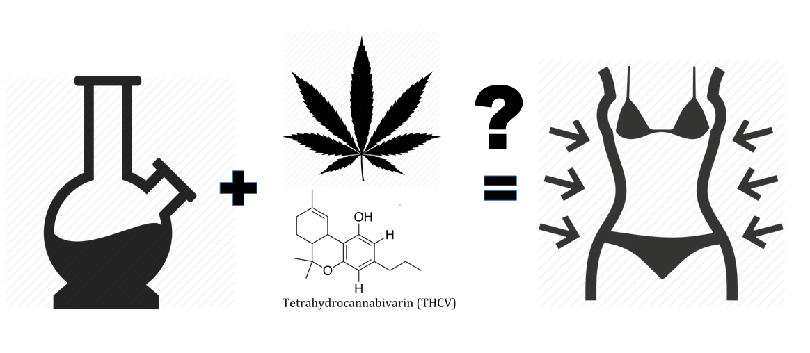 THCV – The skinny cannabinoid (part 1)