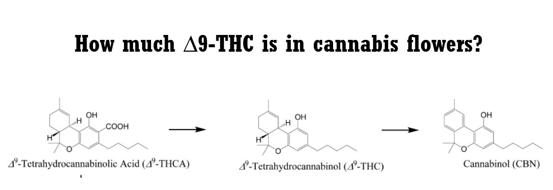 How much  ∆9-THC is in cannabis flowers?